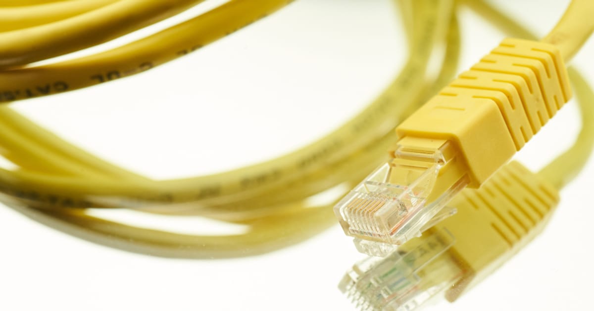 Network cables connected to networking equipment, illustrating LLM Security Tools